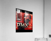 DMX 44 Acrylic Print