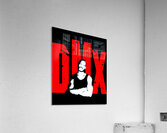 DMX 46 Acrylic Print