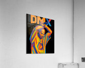 DMX 47 Acrylic Print