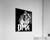 DMX 51 Acrylic Print