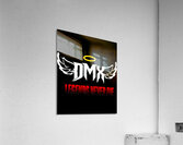 DMX 54 Acrylic Print