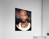 DMX 55 Acrylic Print