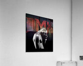 DMX 56 Acrylic Print