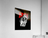 DMX 58 Acrylic Print