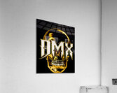 DMX 62 Acrylic Print