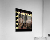 Dolly Parton 46 Acrylic Print