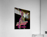Donna Summer 31 Acrylic Print
