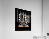 Drake 9 Acrylic Print