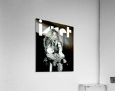 Janet Jackson 57 Acrylic Print