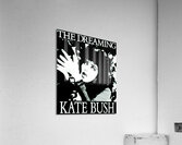 Kate Bush 11 Acrylic Print