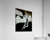 Led Zeppelin 14 Acrylic Print
