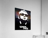 Linkin Park 20 Acrylic Print