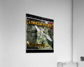 Linkin Park 38 Acrylic Print