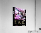 Linkin Park 41 Acrylic Print