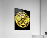 Lynyrd Skynyrd 29 Acrylic Print