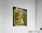 Stevie Wonder 31 Acrylic Print