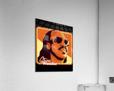 Stevie Wonder 34 Acrylic Print