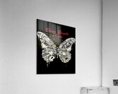 Stone Temple Pilots 39 Acrylic Print