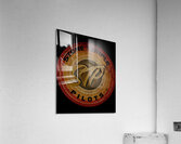 Stone Temple Pilots 9 Acrylic Print