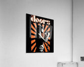 The Doors 1 Acrylic Print