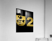 U2 5 Acrylic Print