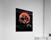 U2 7 Acrylic Print