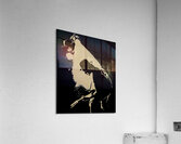 U2 50 Acrylic Print