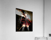 Akame ga Kill 28 Acrylic Print