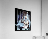 Akame ga Kill 9 Acrylic Print