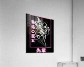 Akame ga Kill 13 Acrylic Print