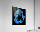 Akame ga Kill 39 Acrylic Print