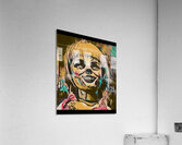 Annabelle 14 Acrylic Print