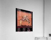 Arcade Fire 4 Acrylic Print