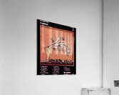 Arcade Fire 33 Acrylic Print