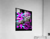 Arcane 1 Acrylic Print