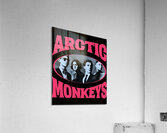 Arctic Monkeys 20 Acrylic Print