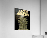 Arctic Monkeys 21 Acrylic Print