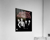 Arctic Monkeys 27 Acrylic Print