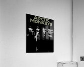 Arctic Monkeys 44 Acrylic Print