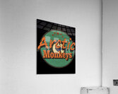 Arctic Monkeys 1 Acrylic Print