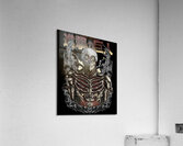 Attack on Titan 33 Acrylic Print