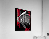 Attack on Titan 47 Acrylic Print
