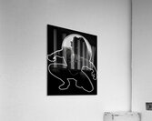 Black Panther 63 Acrylic Print