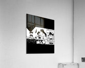 Case Closed 3 Acrylic Print