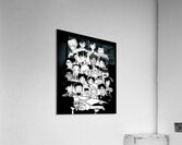 Case Closed 33 Acrylic Print