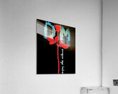 Depeche Mode 52 Acrylic Print