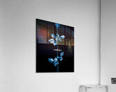 Depeche Mode 7 Acrylic Print