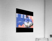Dire Straits 8 Acrylic Print