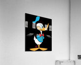 Donald Duck 43 Acrylic Print