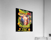 Dragon ball 1 Acrylic Print